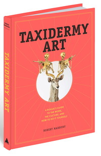 Taxidermy Art