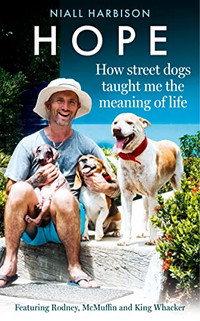 Hope – How Street Dogs Taught Me the Meaning of Life