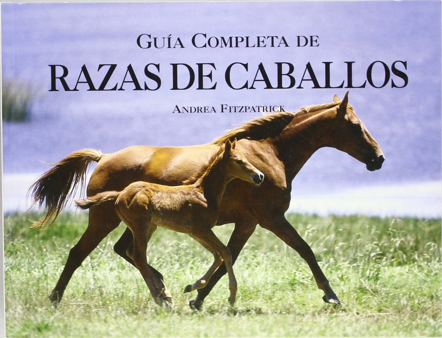 Guia completa de razas de caballos · NiceBooks